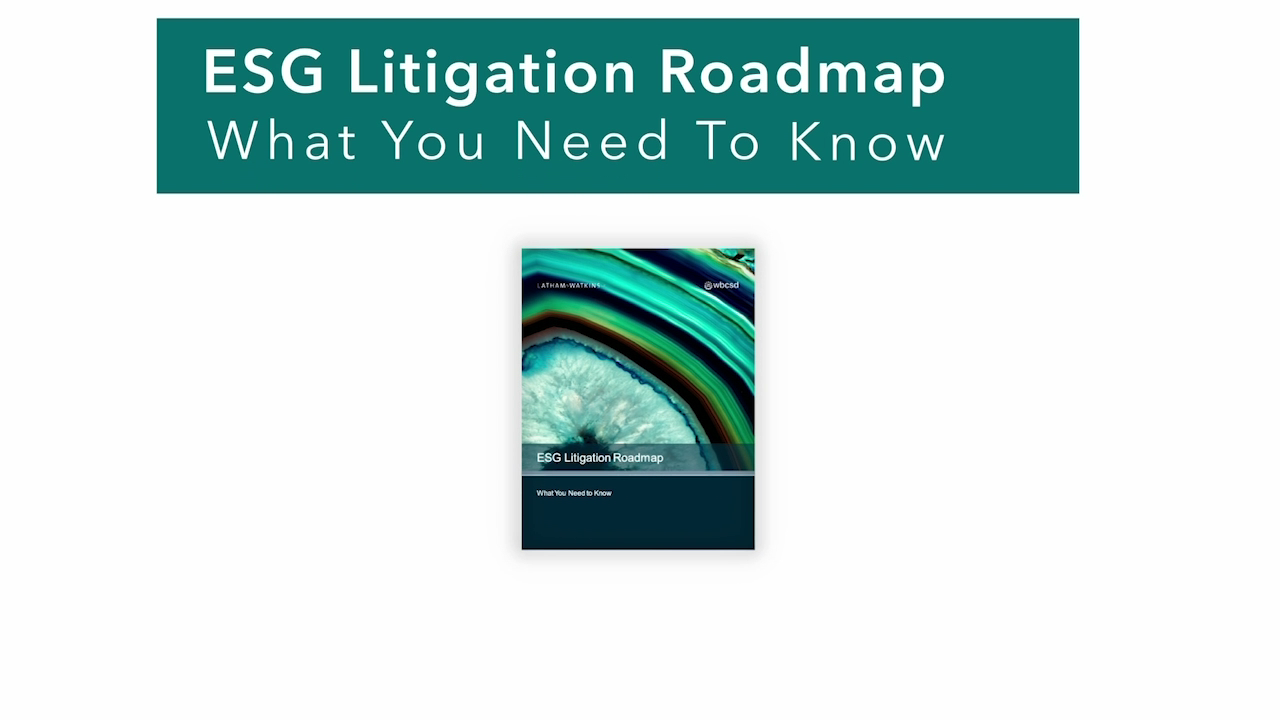 ESG Litigation Roadmap: What You Need To Know